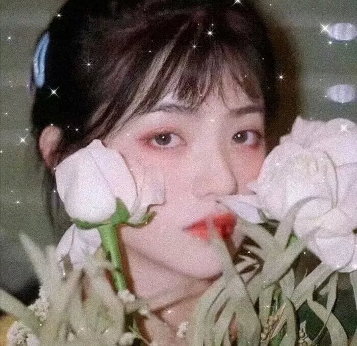 醇美人生